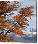 Torres Del Paine In Fall Canvas Print