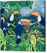 Toucan Talk Canvas Print