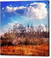 Touch Of Autumn In The Glades Canvas Print