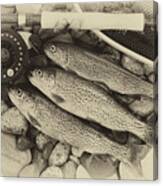 Traditional Vintage trout fishing Photograph by Thomas Baker - Pixels