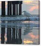 Tranquil Reflections Canvas Print