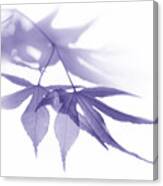 Translucent Purple Leaves Canvas Print