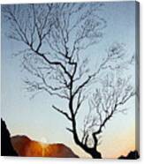 Tree Above Crummock Water Canvas Print