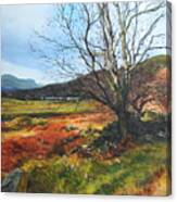 Tree At Aberglaslyn Canvas Print