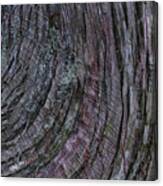 Tree Bark Canvas Print