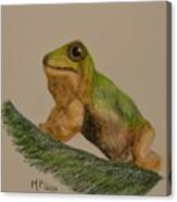 Tree Frog Canvas Print