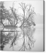 Tree In A Lake Canvas Print