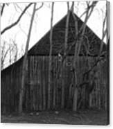 Tree Lined Barn Canvas Print