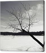 Tree Over Frozen Lake Canvas Print