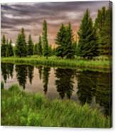 Tree Reflection Canvas Print