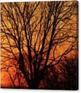 Tree Silhouette Canvas Print
