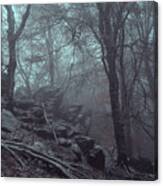 Trees And Rocks In Misty Woods Canvas Print