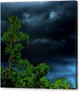 Trees And Storm Clouds In Hdr Canvas Print