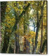 Trees Are Life Canvas Print