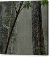 Trees Growing In Silo Gray Edition Canvas Print