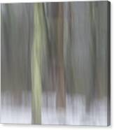 Trees In Fog Ii Canvas Print