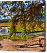 Tree's In Front Of River Canvas Print