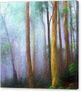 Trees In Mist Canvas Print