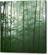 Trees In The Mist Canvas Print