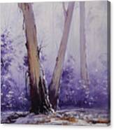 Trees In Winter Australia Canvas Print