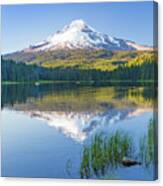 Trillium Lake And Mt. Hood Canvas Print