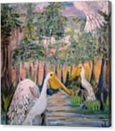 Trio Of Pelicans Canvas Print