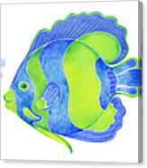 Tropical Blue Angel Fish Canvas Print