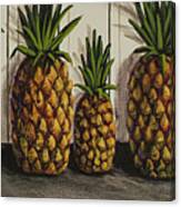Tropical Bounty Canvas Print