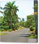 Tropical Feel Residential Street Canvas Print