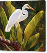 Tropical Heron Canvas Print