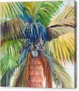 Tropical Palm Inn Canvas Print