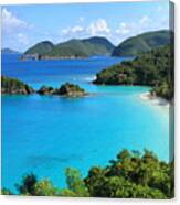 Trunk Bay St. John Canvas Print