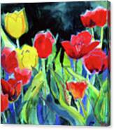 Tulip Bed At Dark Canvas Print