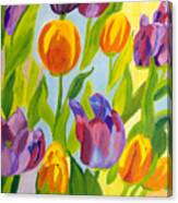 Tulip Fest Canvas Print