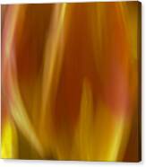Tulip Flames Canvas Print