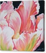 Tulip Sold Canvas Print