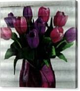 Tulip Time Canvas Print