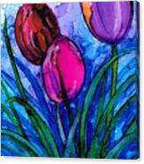 Tulip Trio Canvas Print