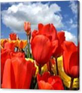 Tulips In The Sky Canvas Print