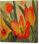 Tulips Canvas Print