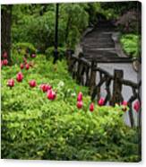 Tulips, Stairs And Rustic Fences Canvas Print