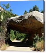 Tunnel Rock Generals Hwy In California Canvas Print