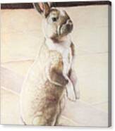 Turbo Bunny Canvas Print