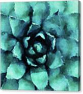 Turquoise Succulent Plant Canvas Print