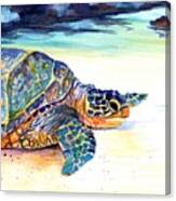 Turtle At Poipu Beach 2 Canvas Print