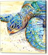 Turtle At Poipu Beach 4 Canvas Print