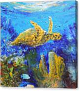 Turtle Reef Canvas Print