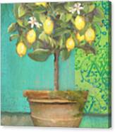 Tuscan Lemon Topiary - Damask Pattern 1 Canvas Print