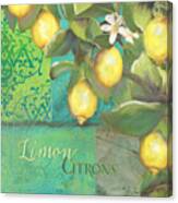 Tuscan Lemon Tree - Damask Pattern 2 Canvas Print