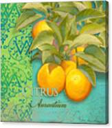 Tuscan Orange Tree - Citrus Aurantium Damask Canvas Print